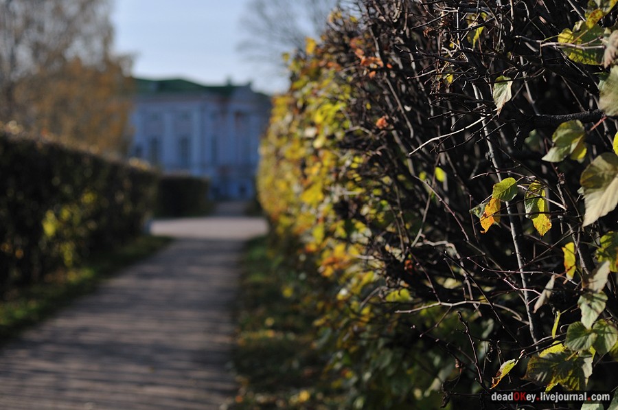 усадьба Кусково