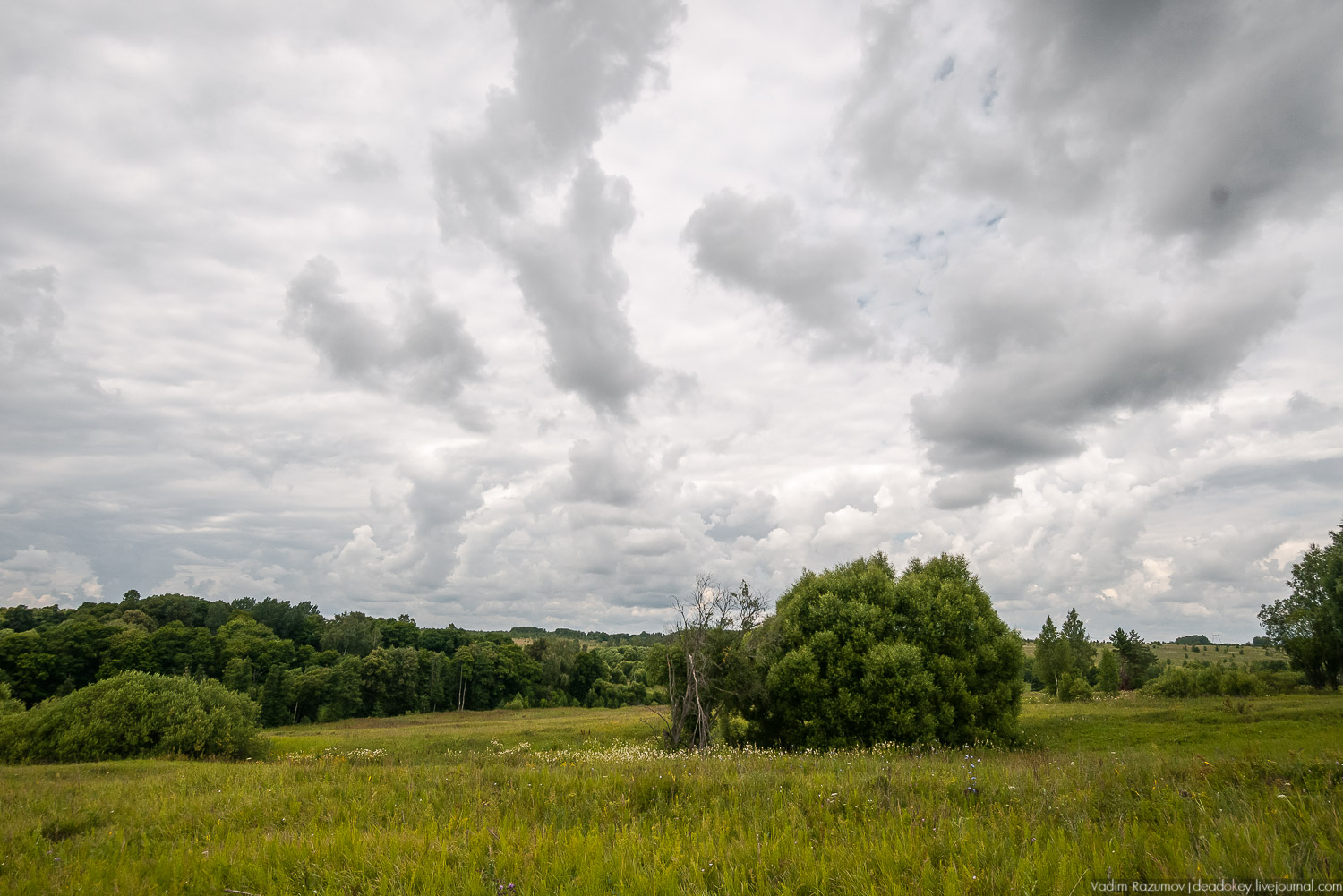 Усадебные волонтеры. Субботник на могиле В.И. Баженова, Старое Глазово, Горки
