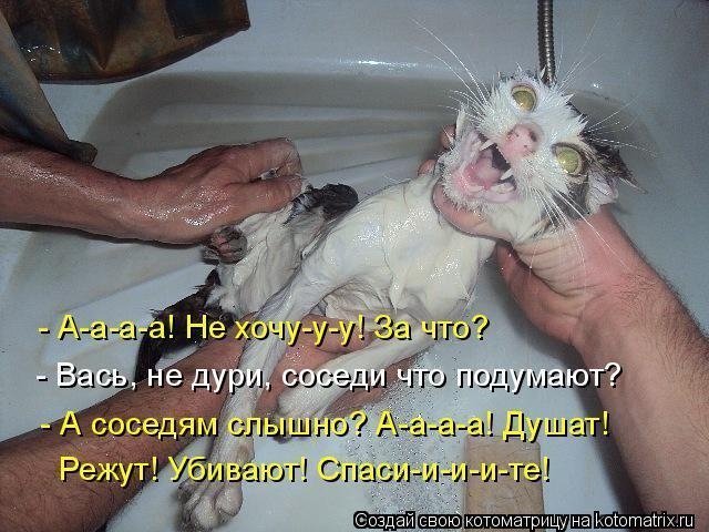 5 (640x480, 194Kb)