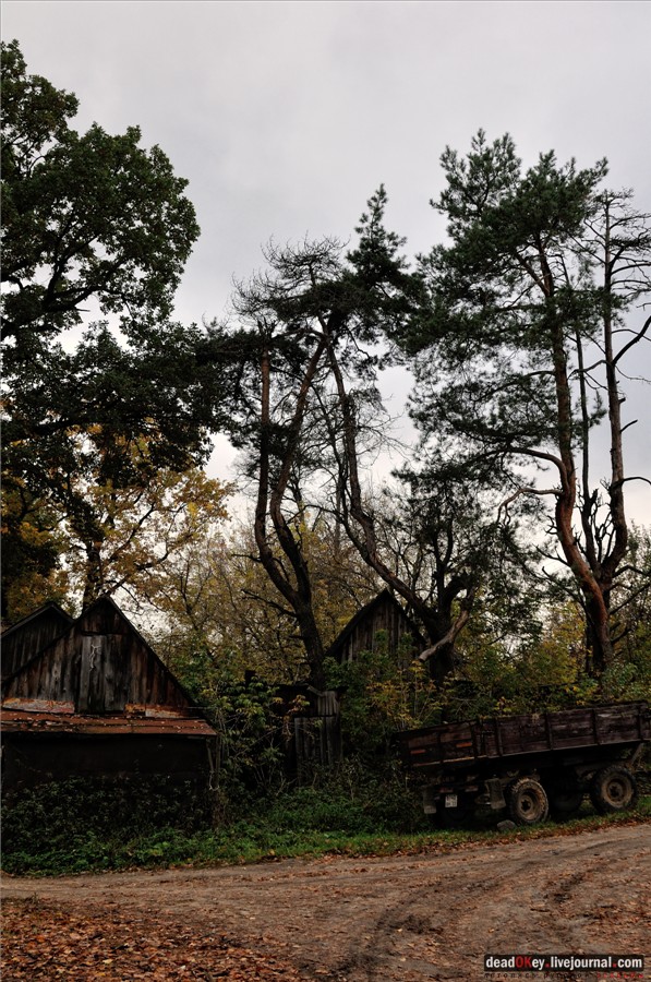 усадьба Лучки