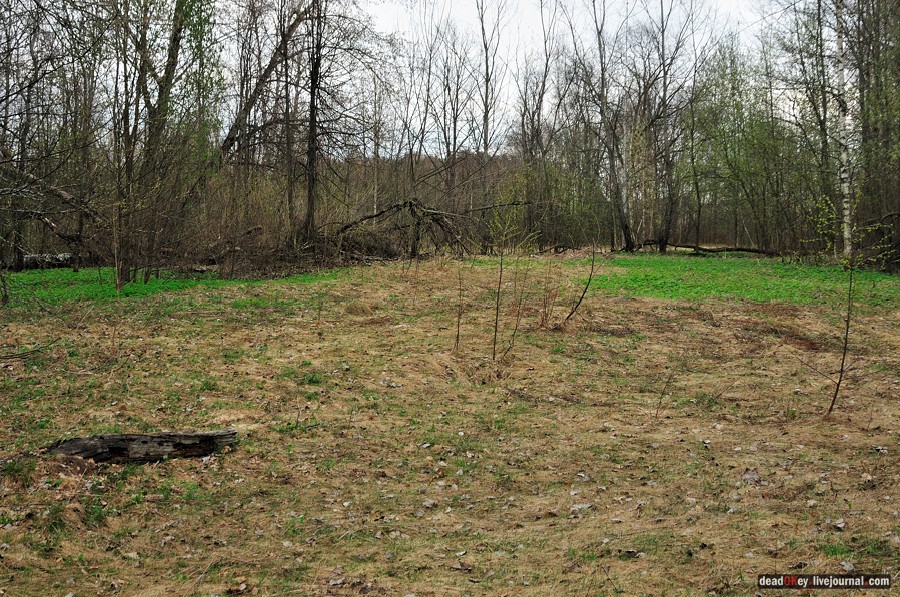 усадьба Антипино