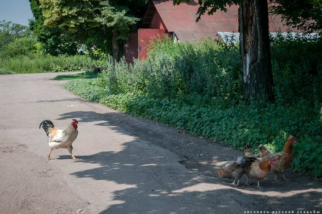 Сергиевское-на-Упе