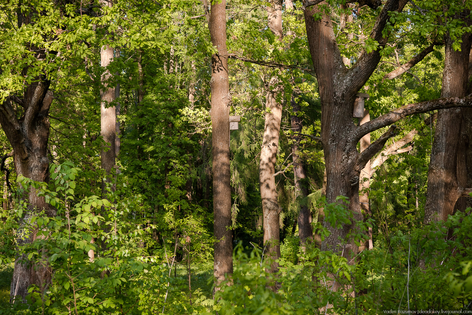 усадьба Воронино