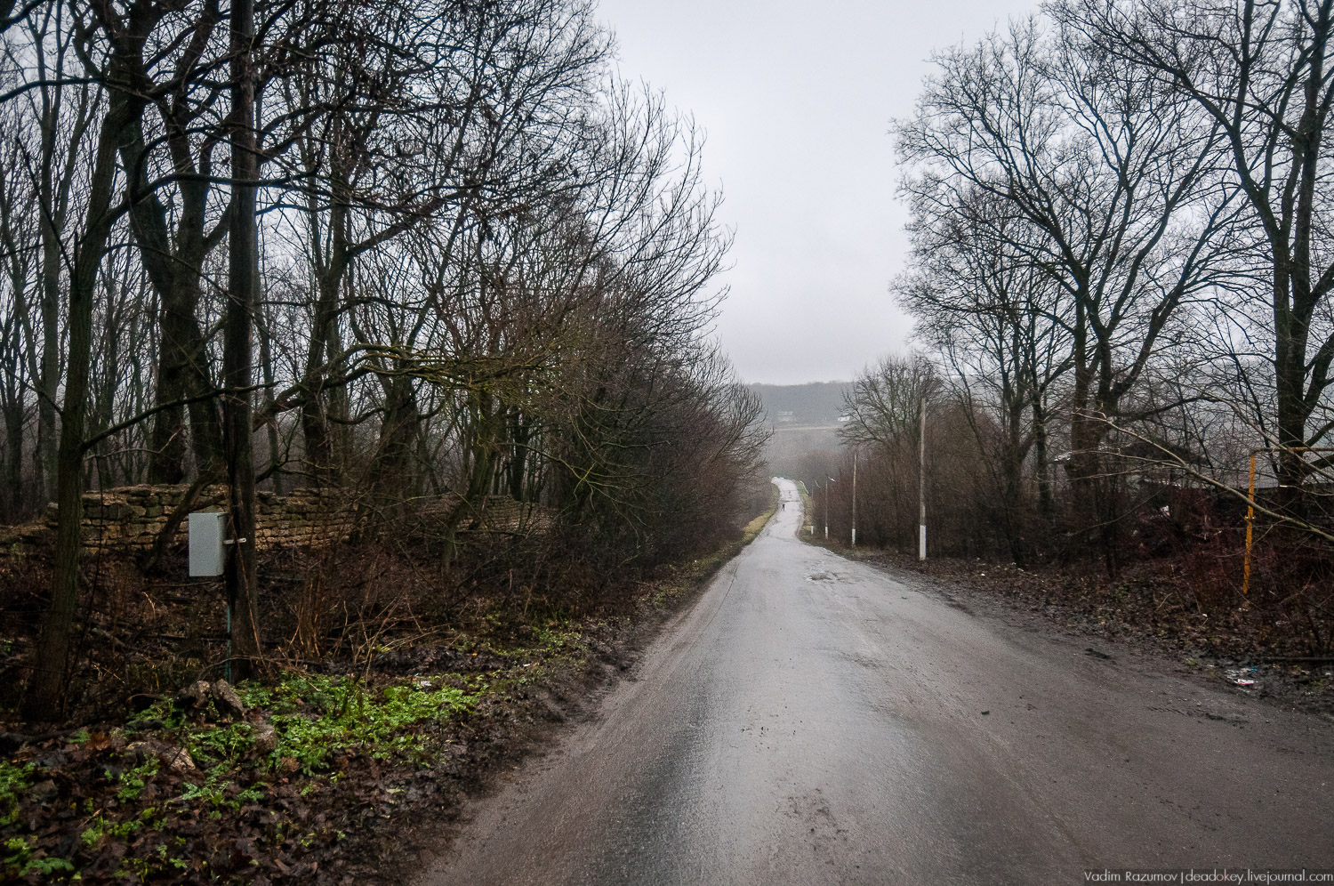 усадьба Пальна-Михайловка, аудиогид по усадбе, фото Вадим Разумов
