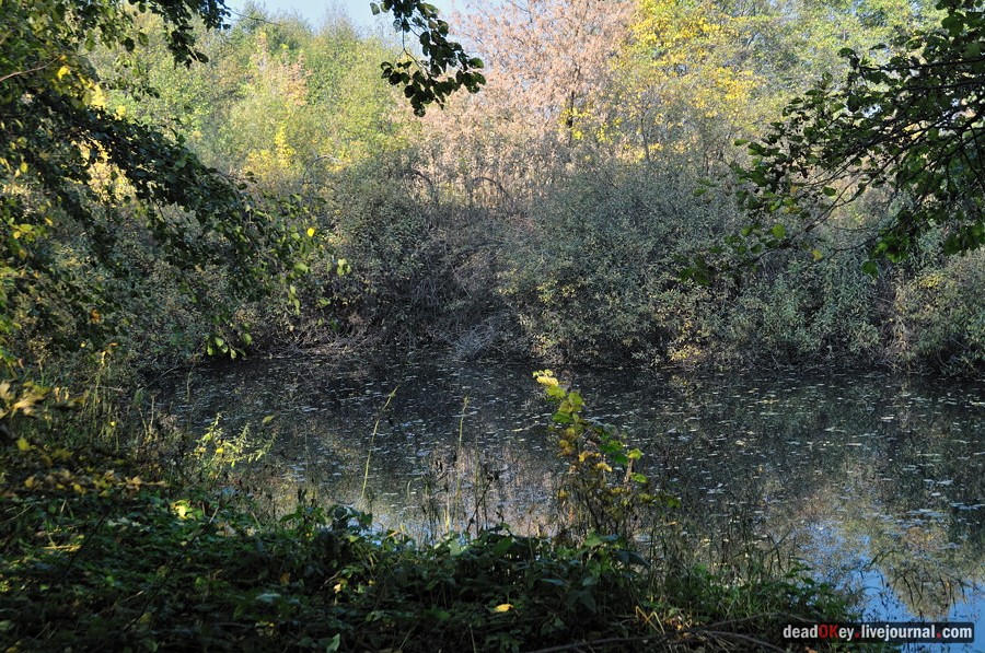усадьба Красково