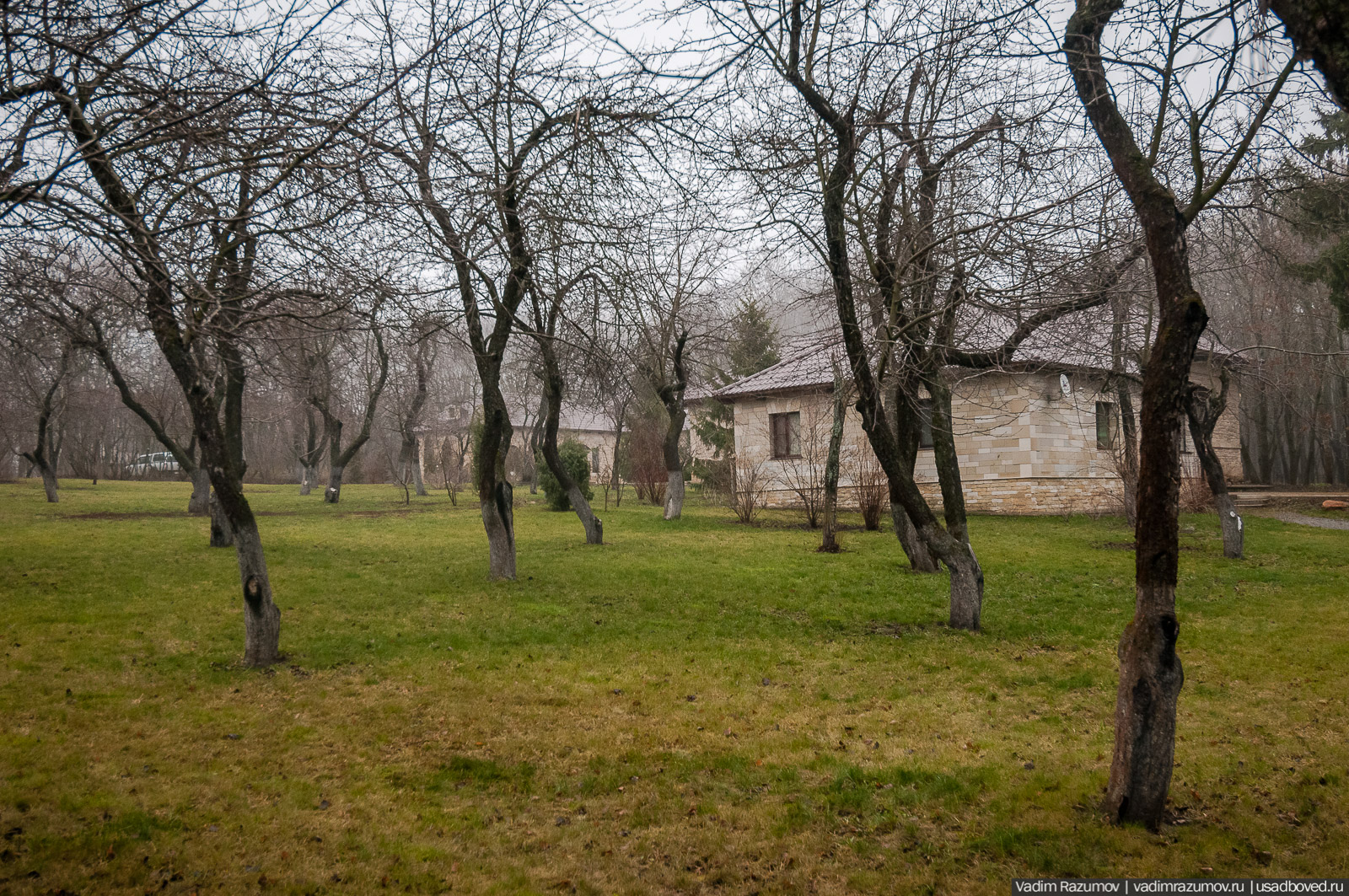 усадьба Борки, Липецкая область