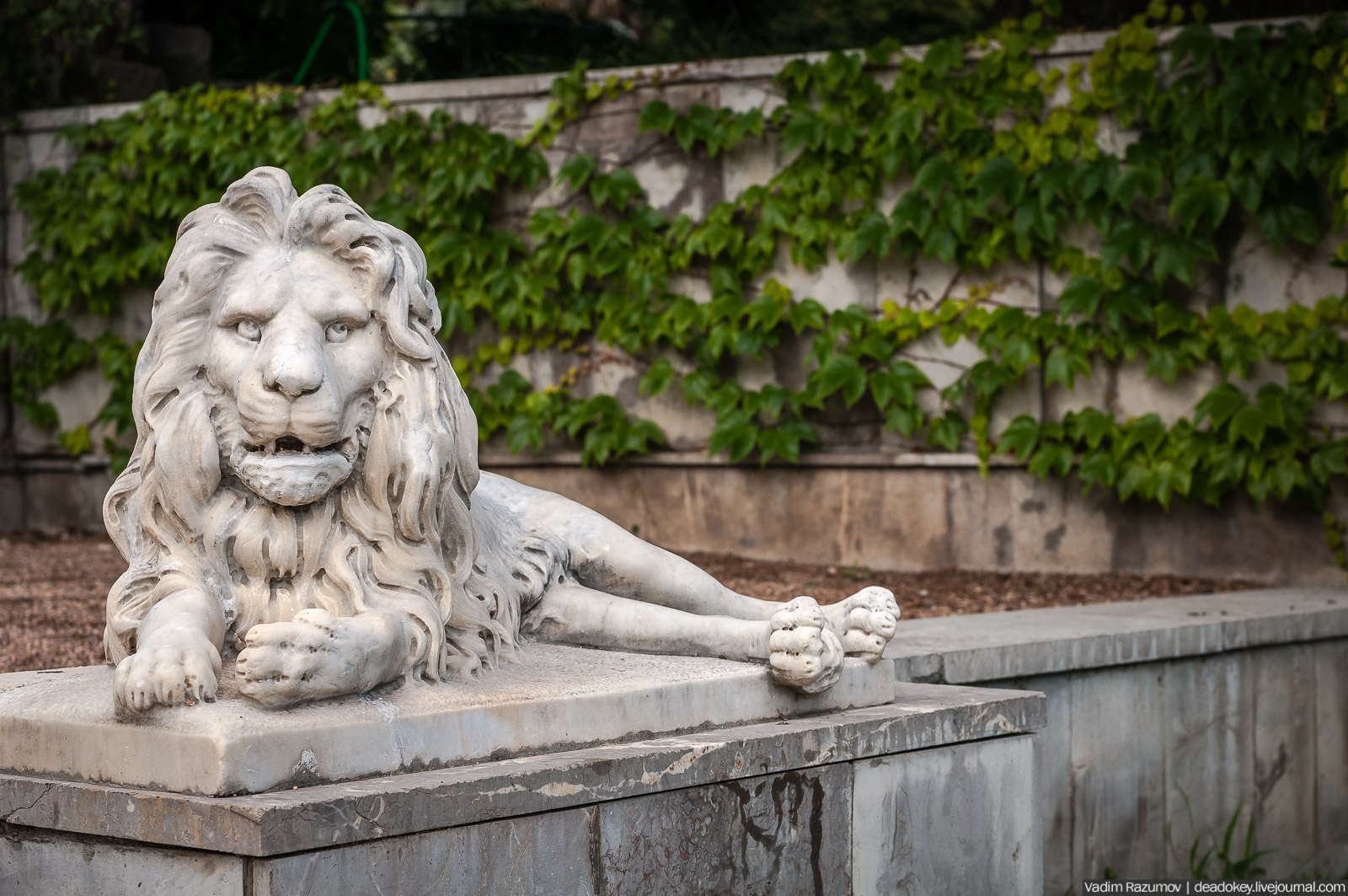Юсуповский дворец, Крым, львы