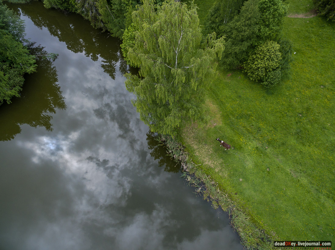 Летопись Русской усадьбы - фотографии с квадрокоптера