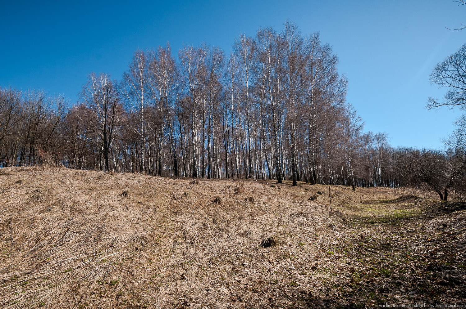 Богородицк, Церерина роща