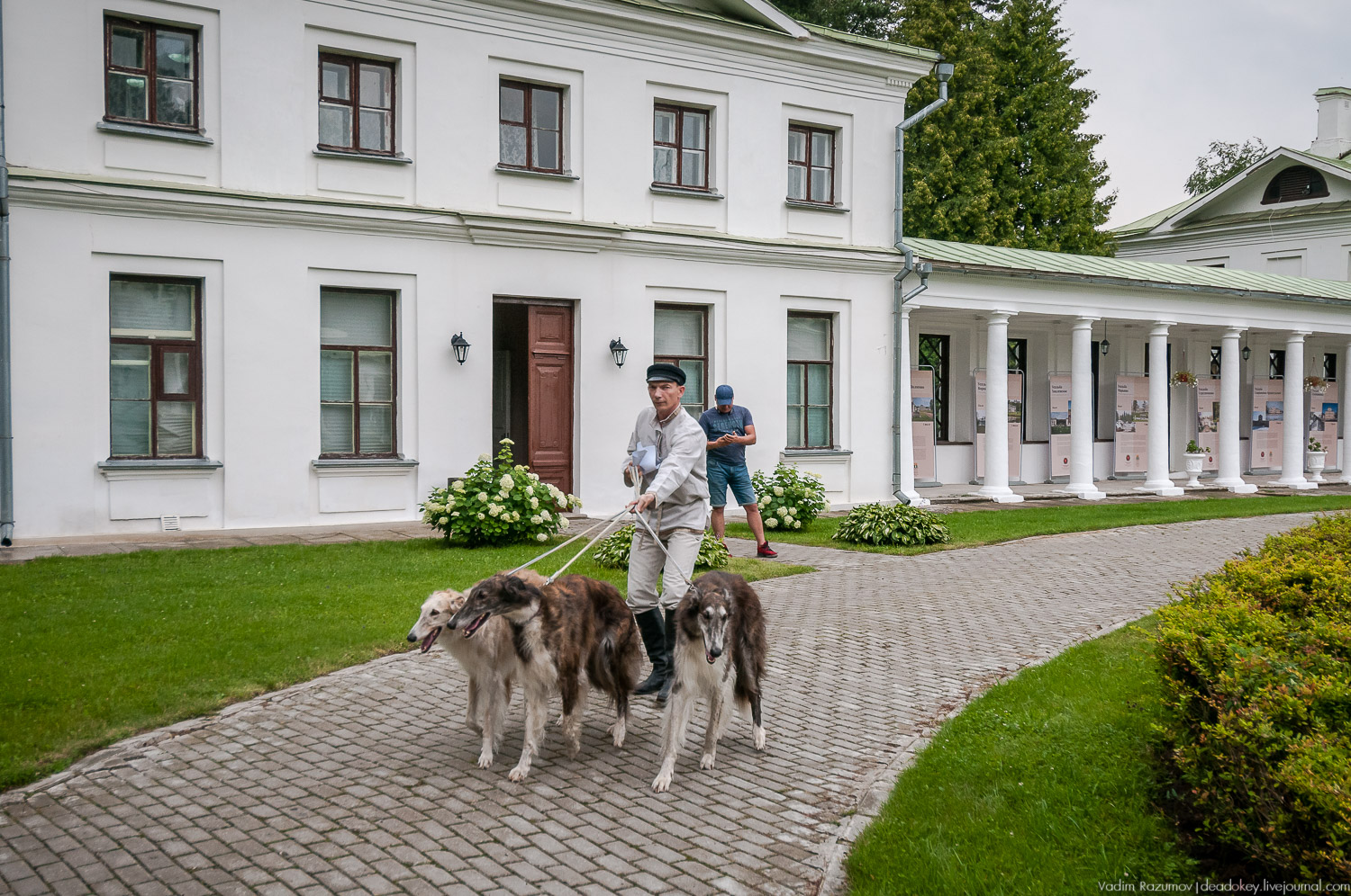 Форум владельцев усадеб в Середниково, 17 июля 2019 года