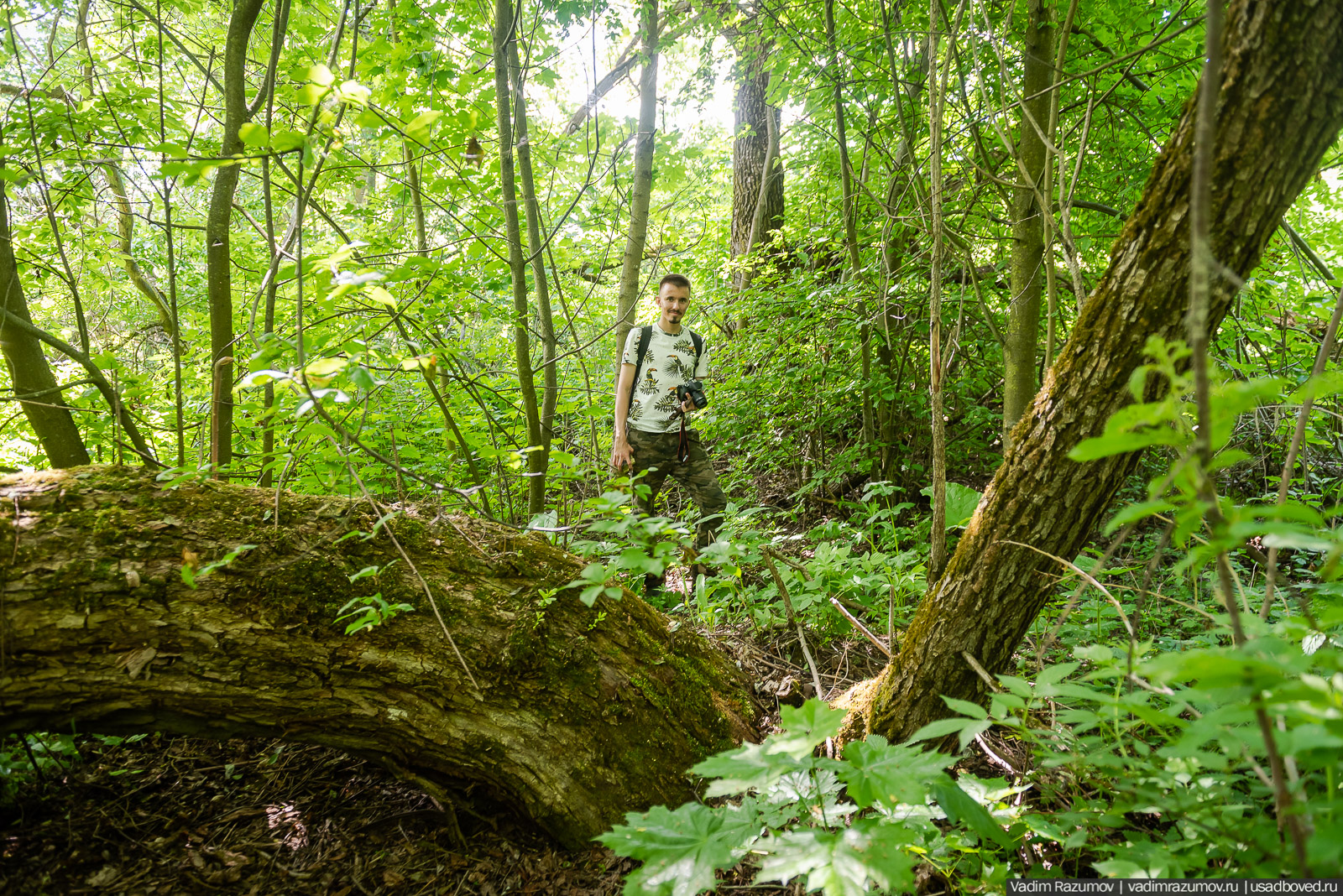 Старое Глазово, могила Василия Баженова, 2021 год