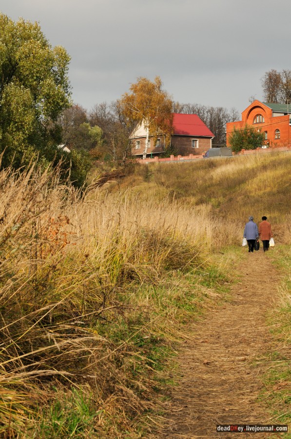 усадьба Образцово