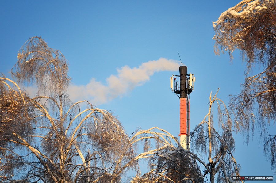 усадьба Полушкино