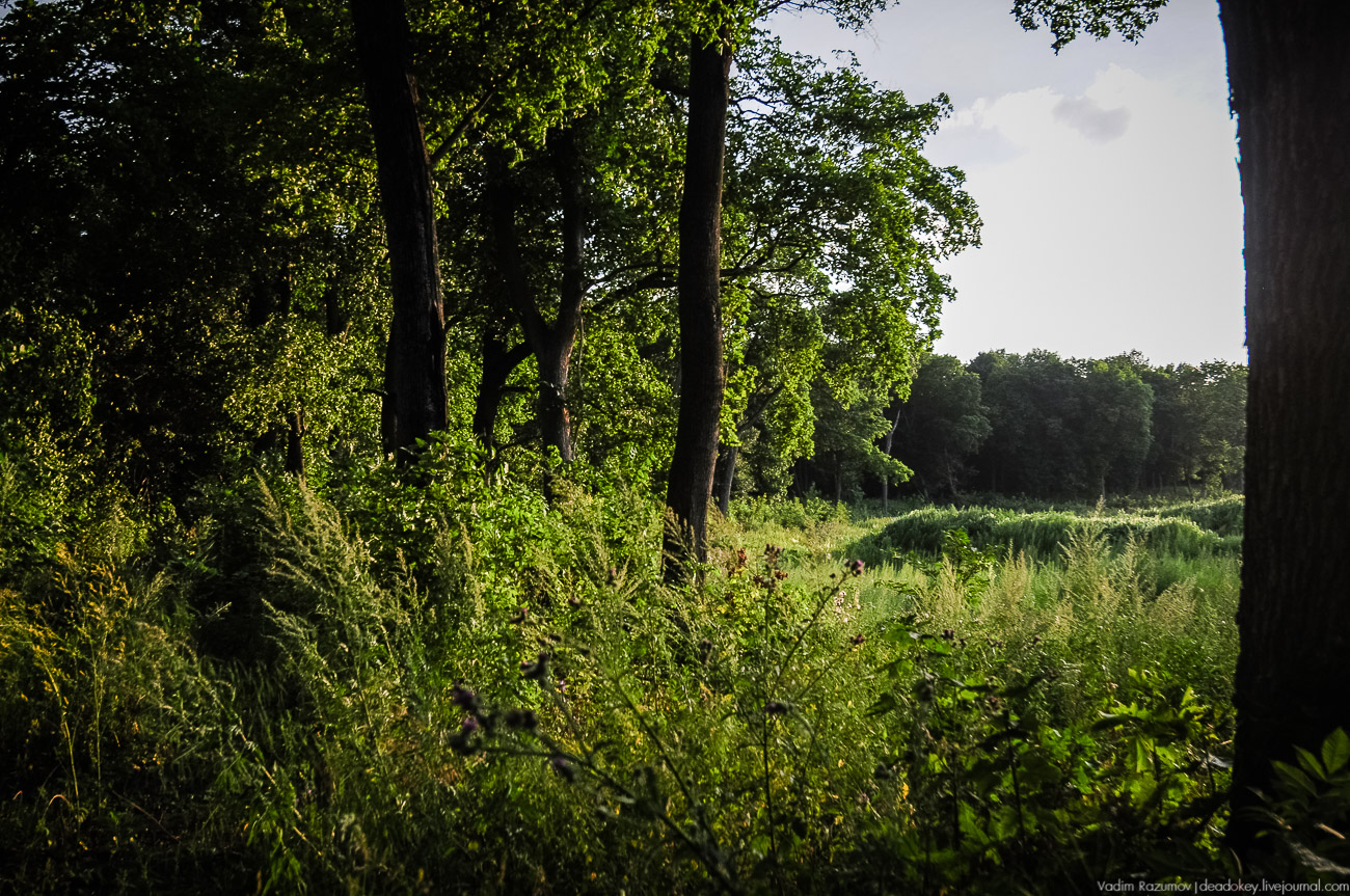 усадьба Колодезское