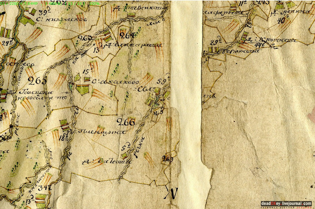 Усадьба Белая Колпь