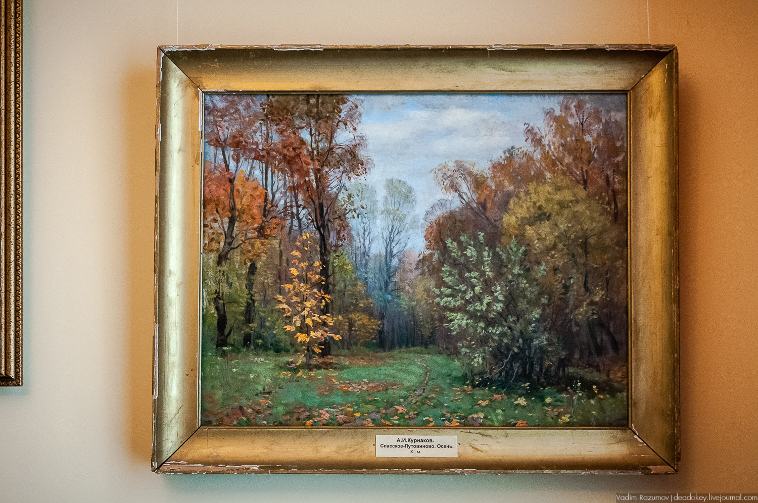 Тургеневские места, юбилей Тургеневу, открытие памятника, музею, Остоженка, 200 лет писателю