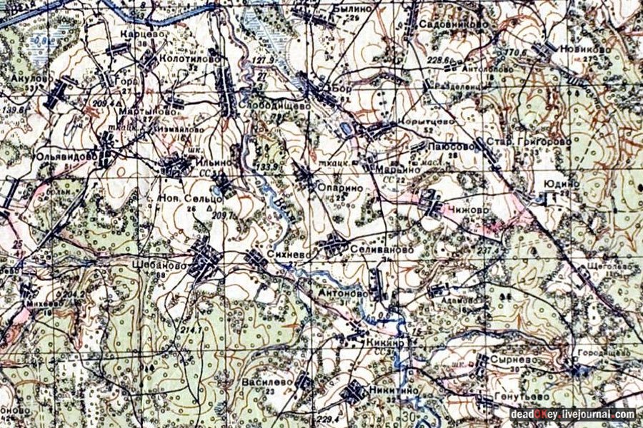 усадьба Опарино