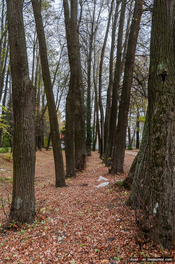 Усадьба Покровское-Рубцово