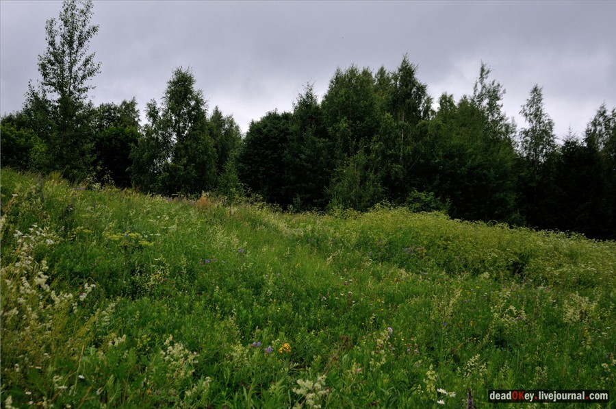 усадьба Фуникова Гора Прокудина-Горского