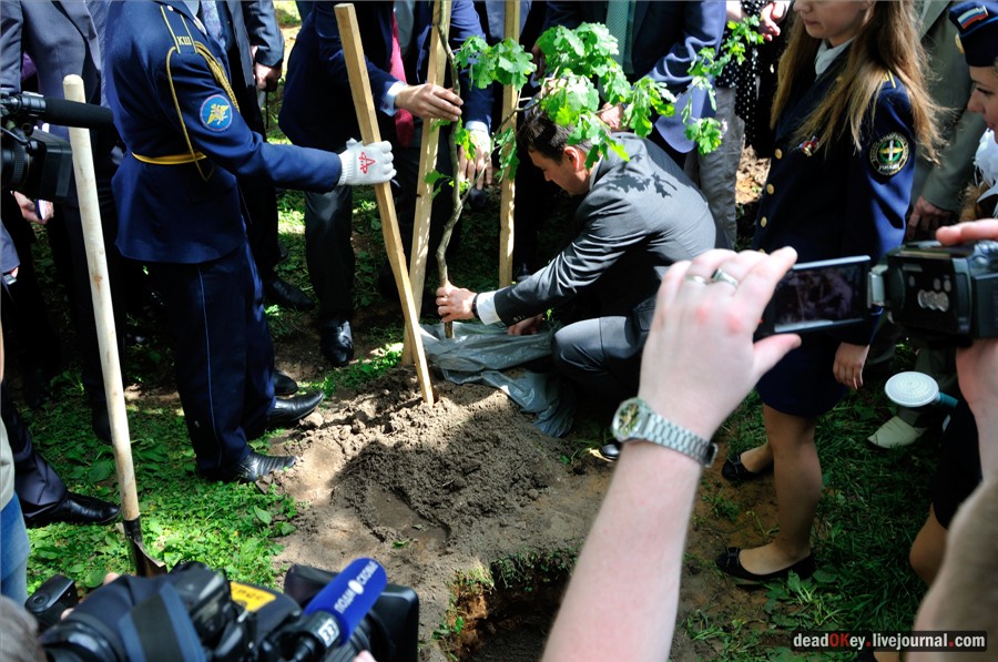 усадьба Наташино, Наташинские пруды