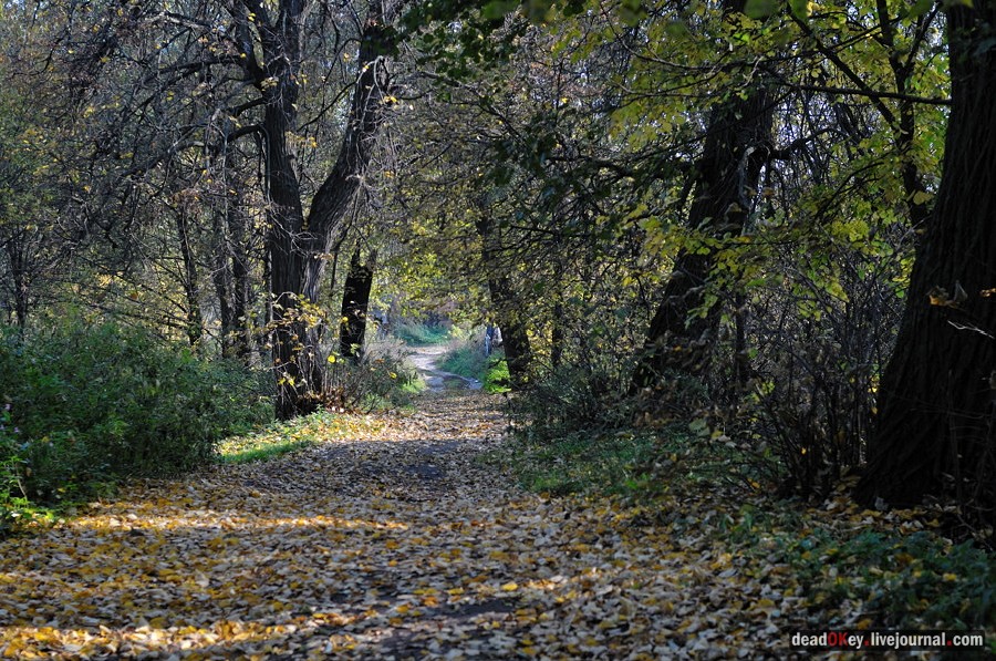 усадьба Красково