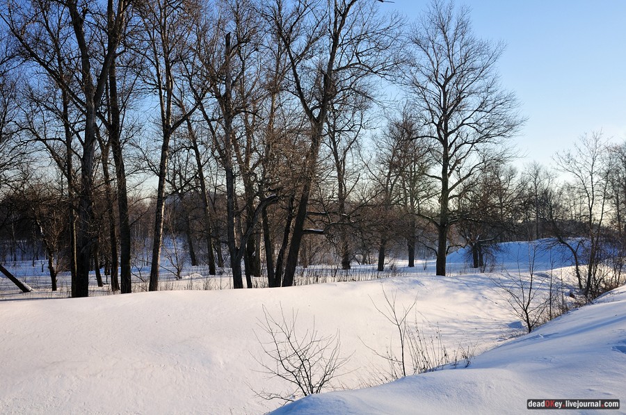 усадьба Старбеево