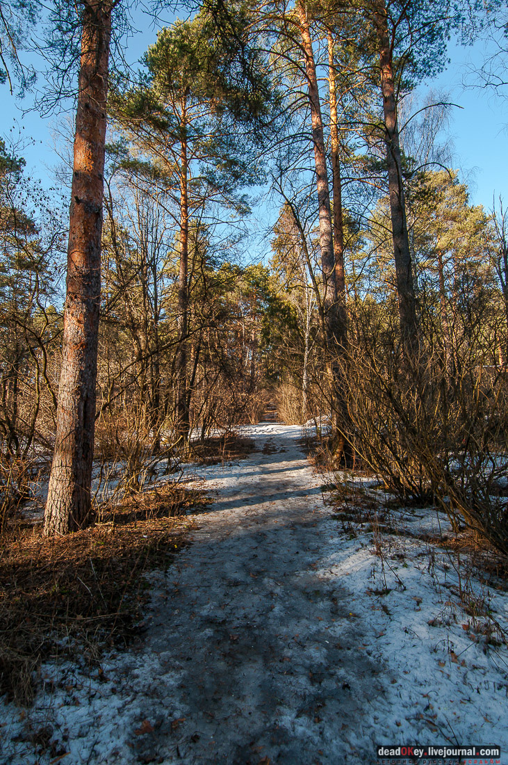 ПИОНЕРСКИЙ ЛАГЕРЬ ДРУЖБА ИМ. А.П. ГАЙДАРА