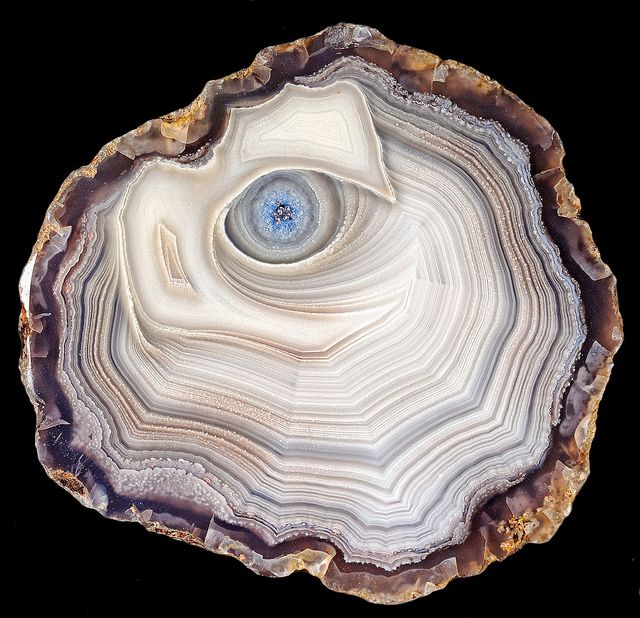 Laguna Agate Eye
