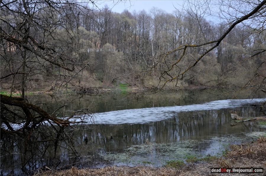 усадьба Городня