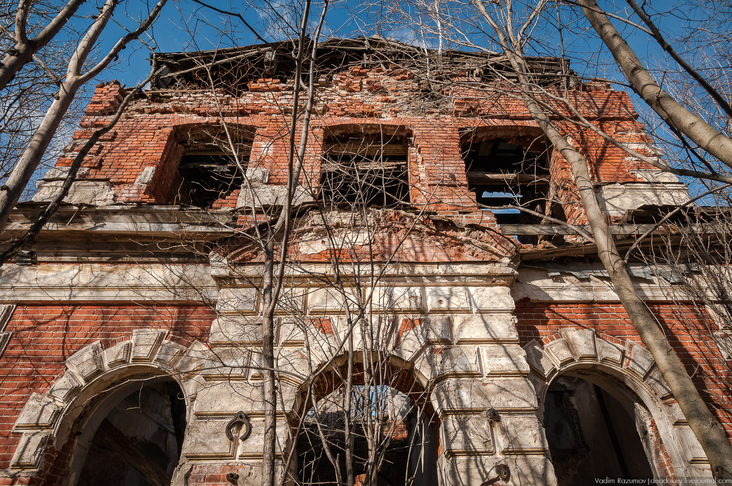 усадьба Соха