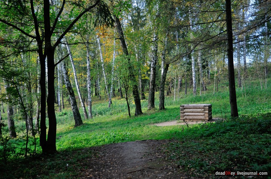 усадьба Ясная Поляна