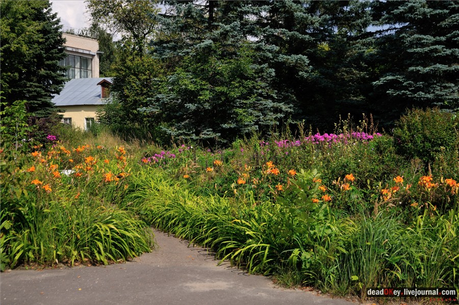 усадьба Глинки Якова Брюса (пансионат Монино)