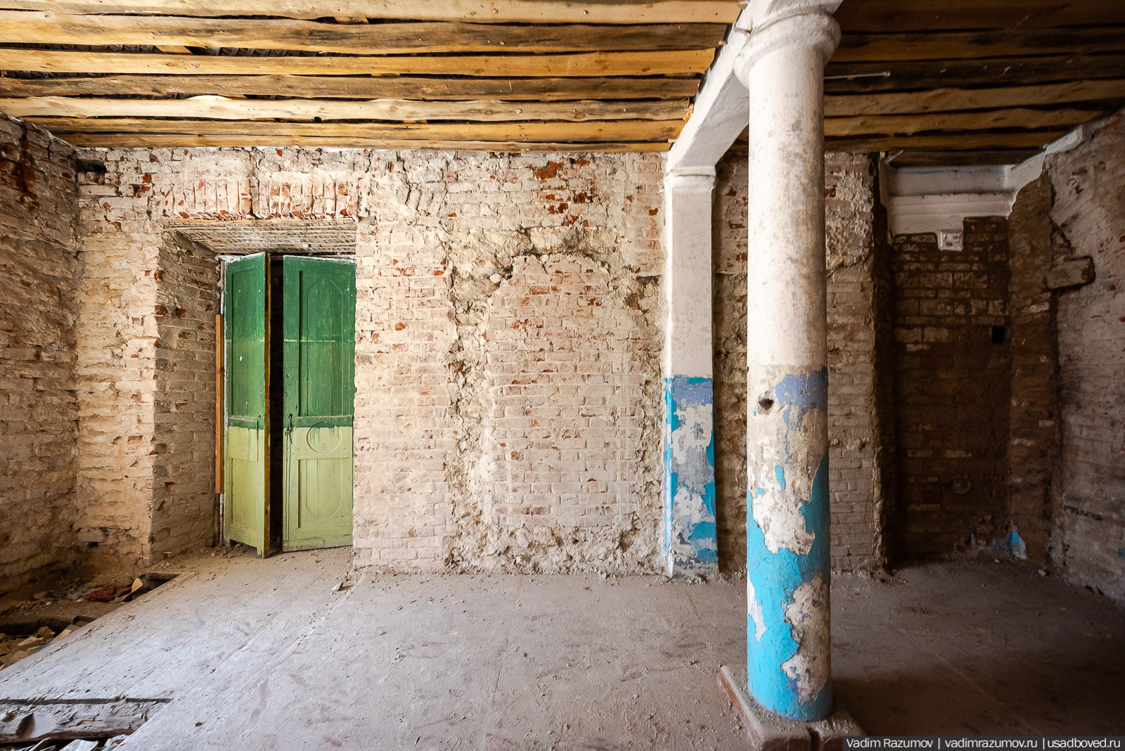 Пролески в усадьбе Репец, Задонский район, Липецкая область