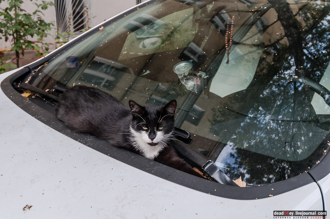 усадьба Михалково