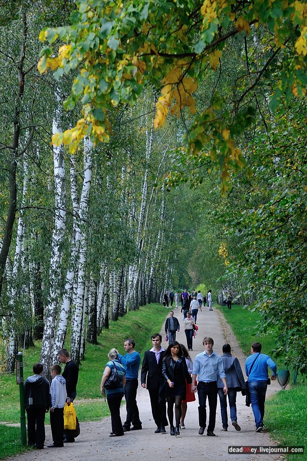 усадьба Ясная Поляна