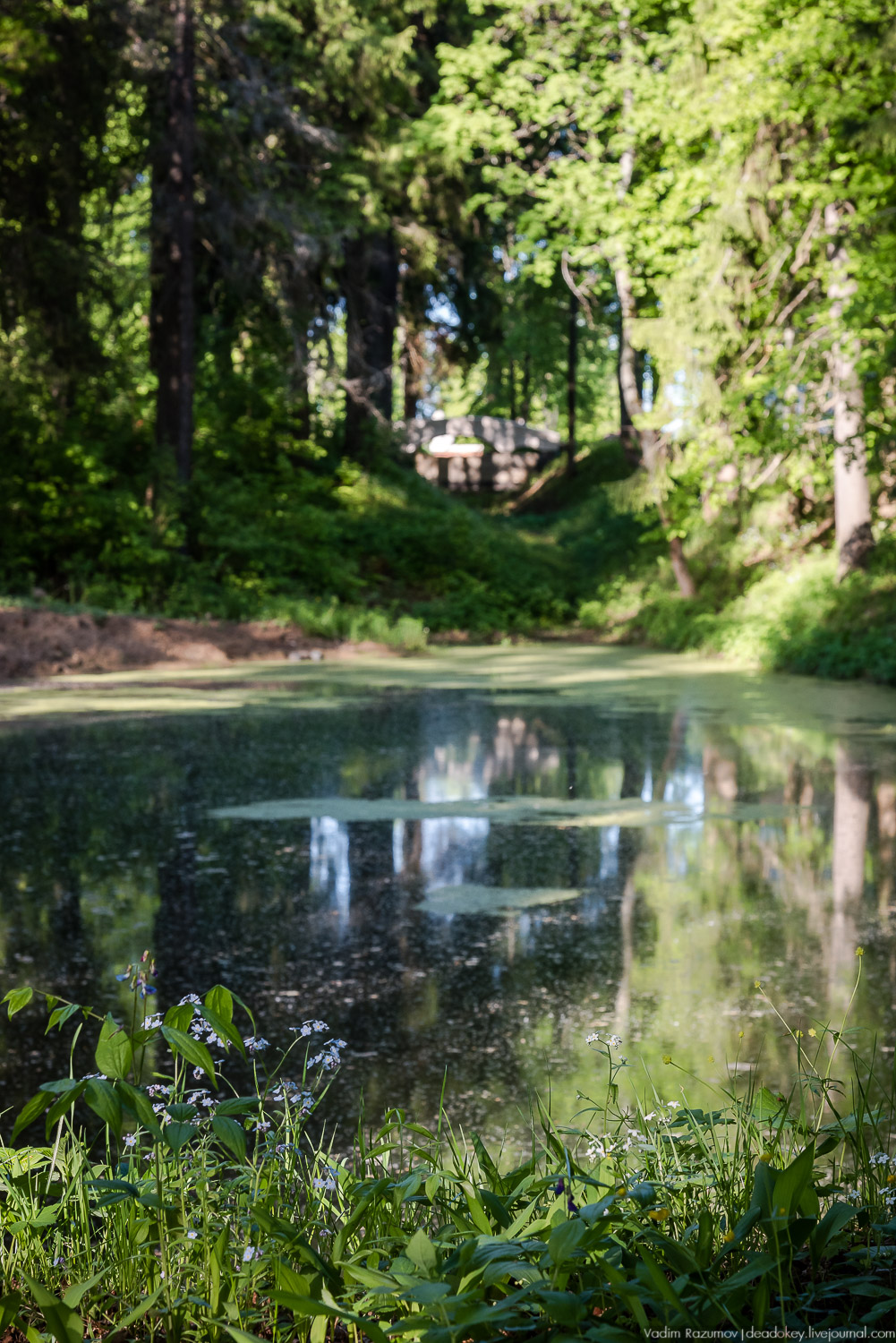 усадьба Воронино