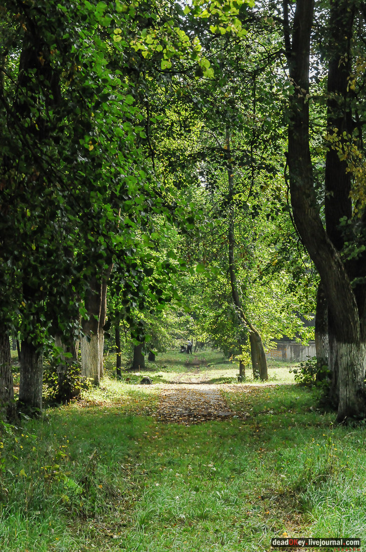 усадьба Фряново