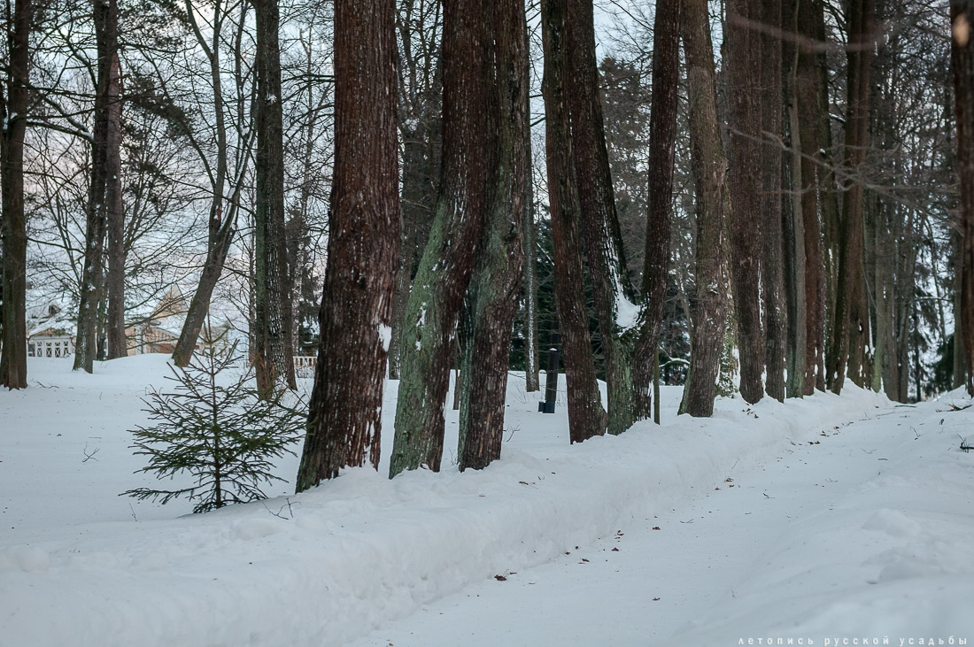 усадьба Мураново, выставка Король и красавицы