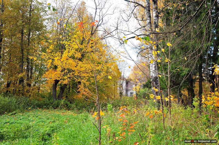 усадьба Яковлево