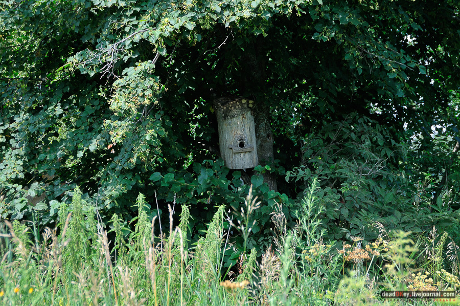 усадьба Матыра