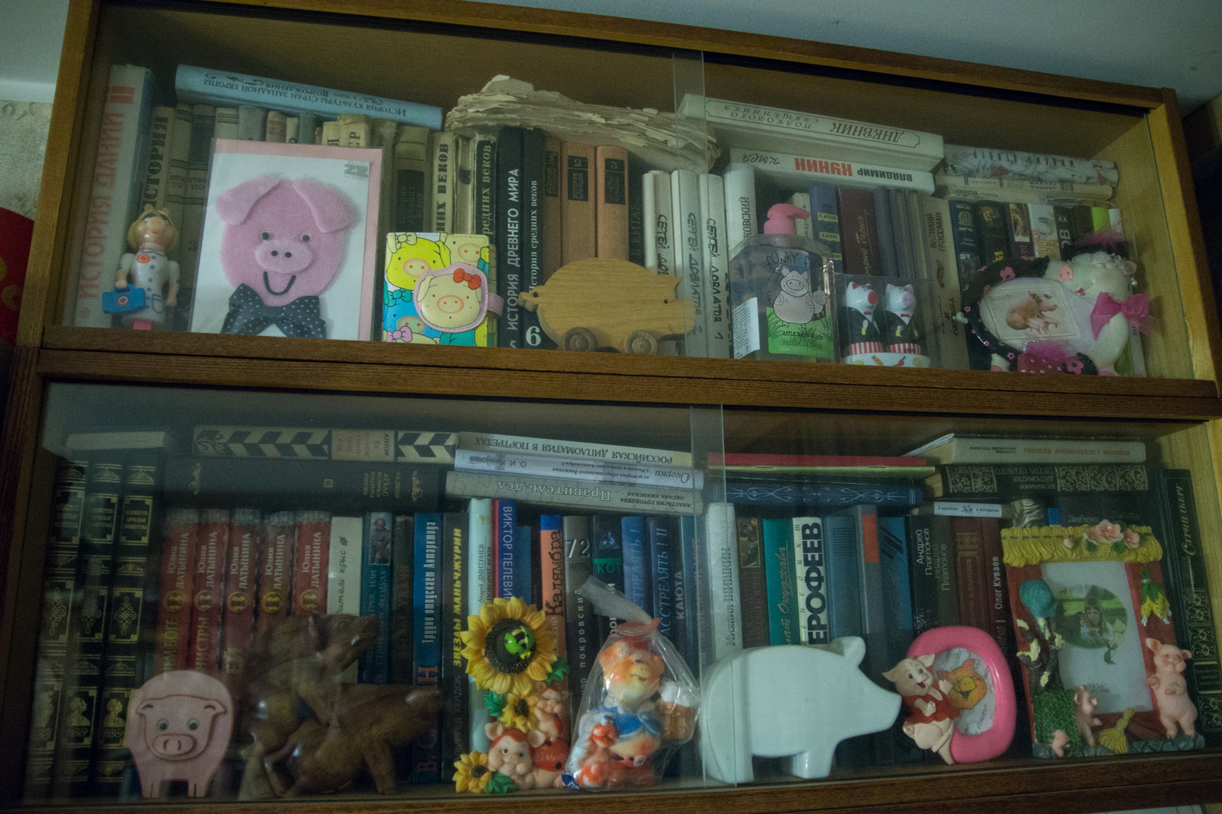 Свиньи, музей свиней