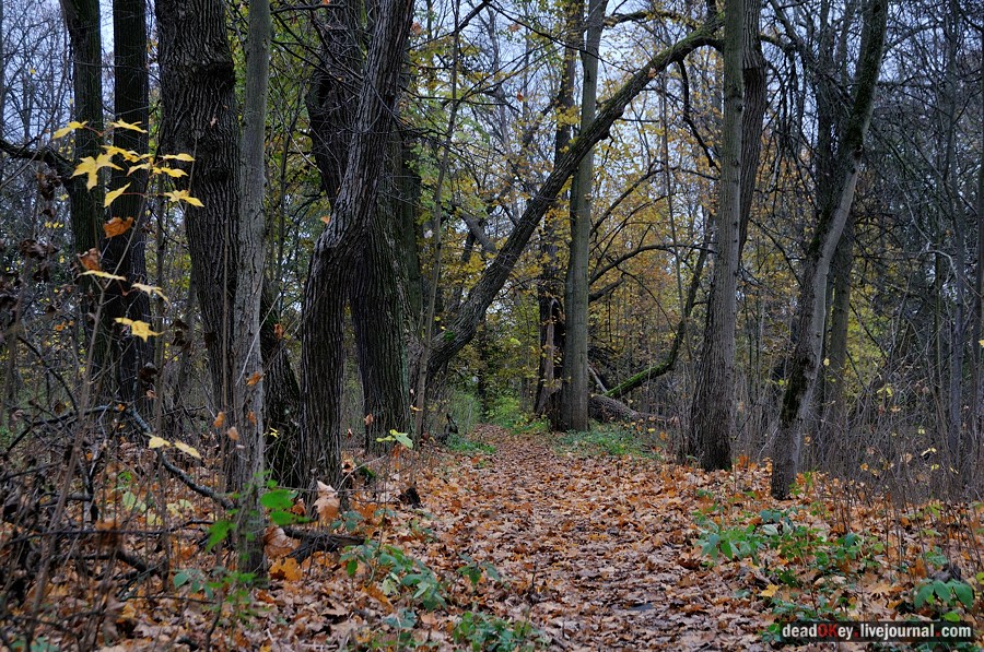 усадьба Глинки