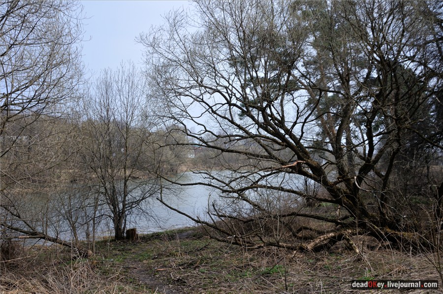 усадьба Грабцево