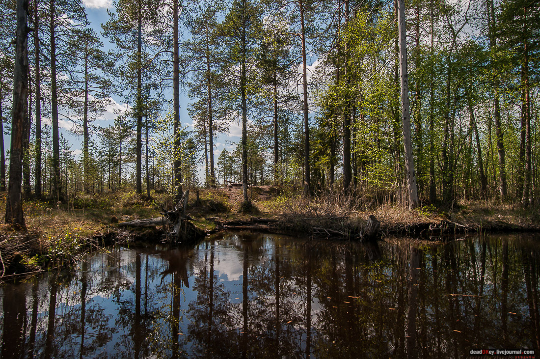 Россия, Карелия, Кондопожский район, Вендеры, Сяпчозеро, Спасская Губа