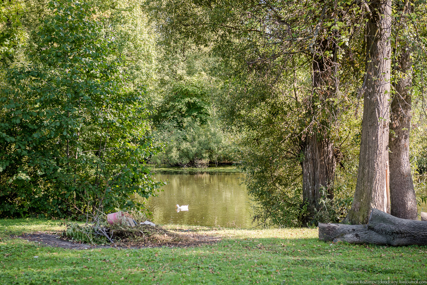 усадьба Сергиевское-на-Упе, Усадебные волонтеры 24 августа 2019 года