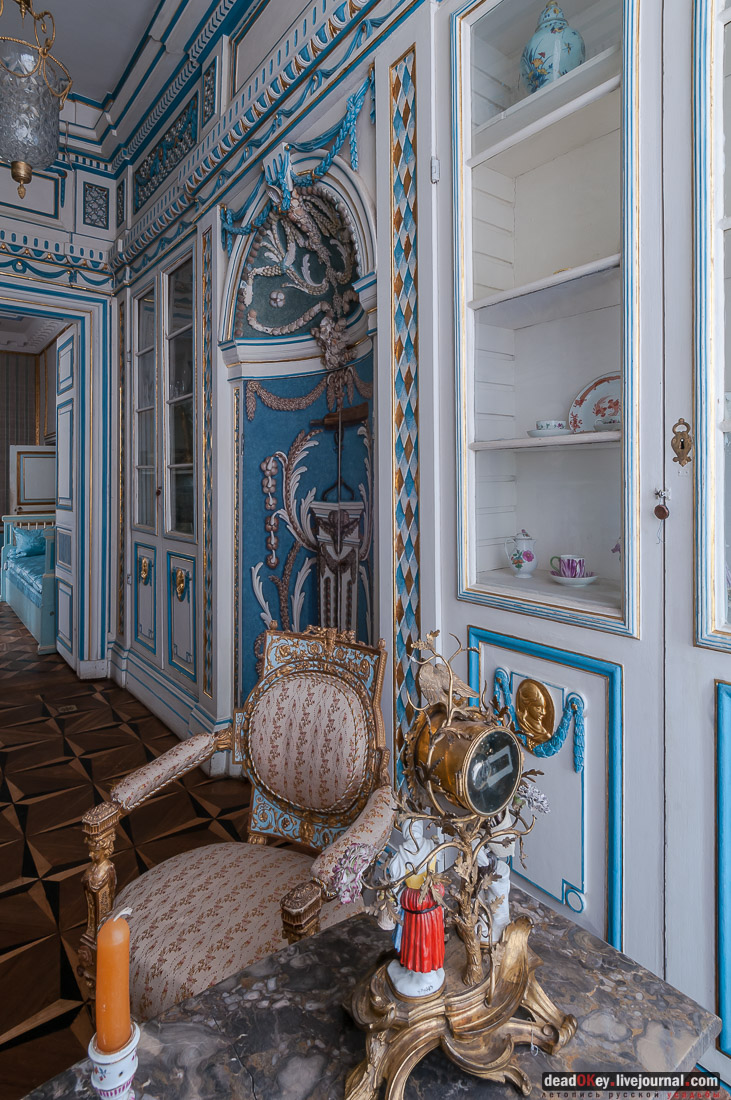 усадьба Кусково библиотека