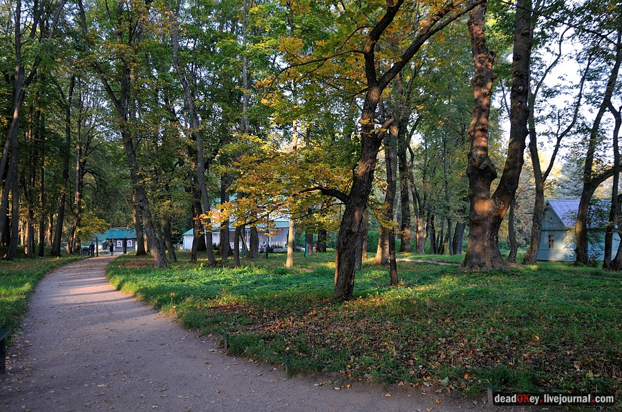 усадьба Ясная Поляна