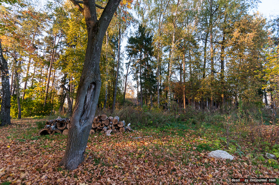 усадьба Бергов
