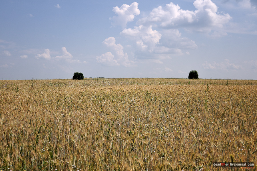 усадьба Матыра