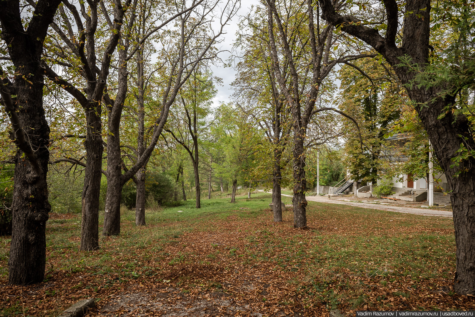 усадьба Кесслеров-Ферсмана, Крым, Симферополь